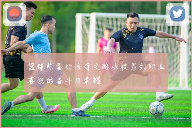 篮球陈雷的传奇之路从校园到职业赛场的奋斗与荣耀