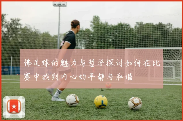 佛足球的魅力与哲学探讨如何在比赛中找到内心的平静与和谐