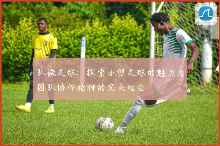 队微足球:探索小型足球的魅力与团队协作精神的完美结合