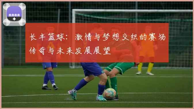 长丰篮球：激情与梦想交织的赛场传奇与未来发展展望